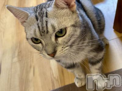 ��ë����Х��顦�����CLUB��Paladin(����֡��ѥ�ǥ���) ��Ļͷ �ߤ��Ȥ�10��18���̥�֥����֤ˤ��