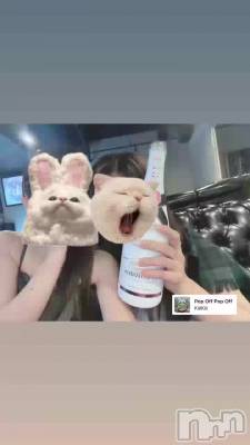 ^> ·̫ <^♩
