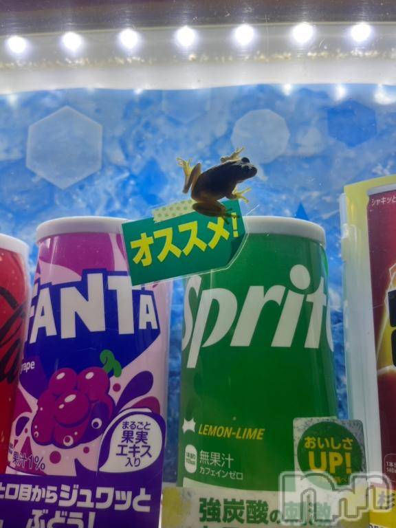 長岡人妻デリヘルBIANCA～主人の知らない私～長岡店(ビアンカナガオカテン)名取　わかば(31)の2025年9月15日写メブログ「ネトフリ三昧♡」