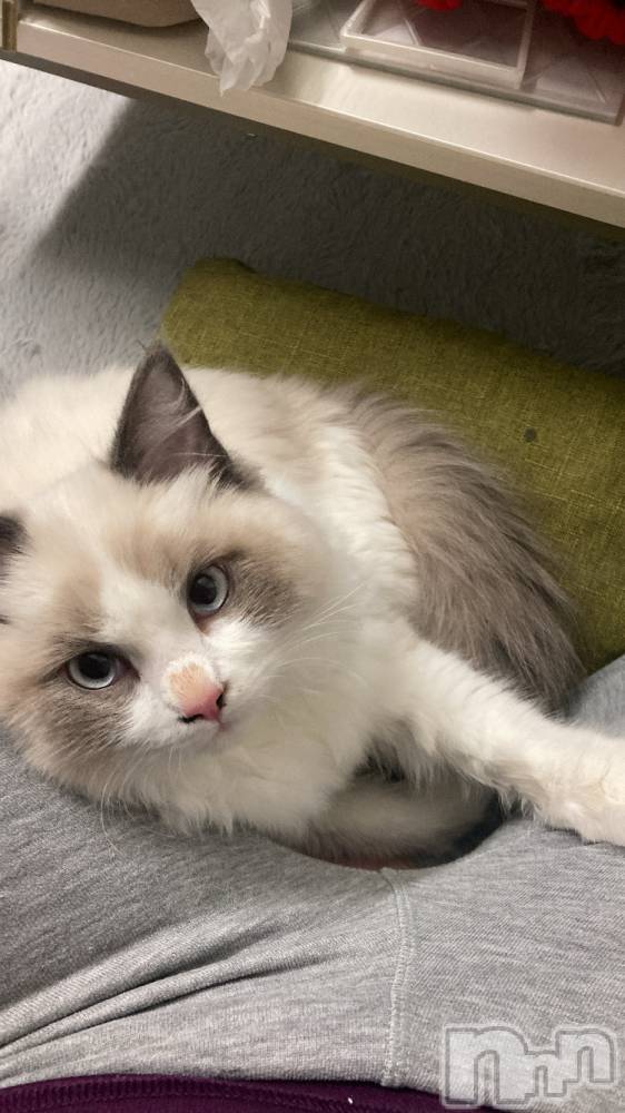 ����������ʥå��������륺�С����ʥå�Bar Peace(���ʥå��С� �ԡ���) ������12��17���̥�֥�����🐈��