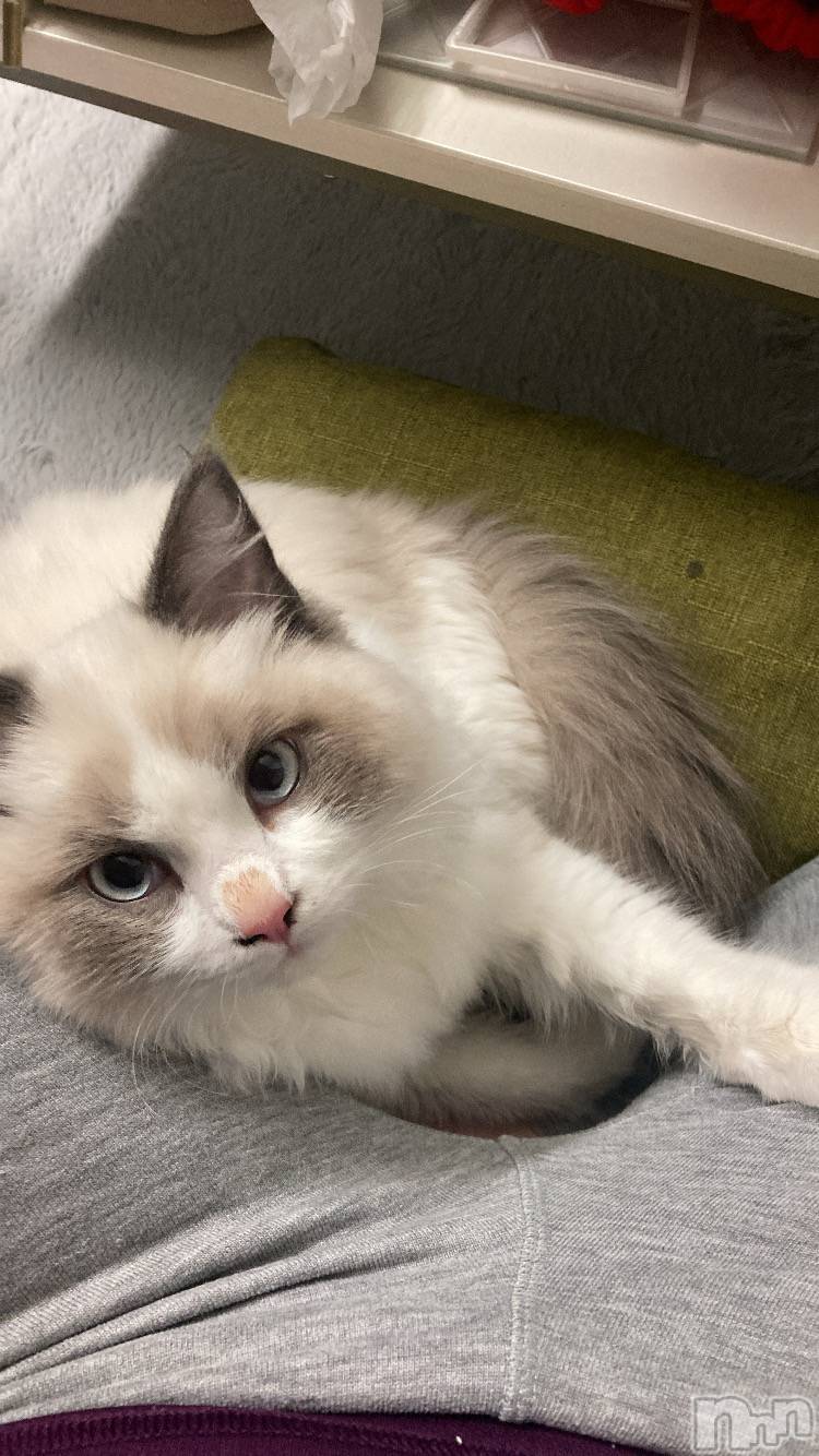 ����������ʥå��������륺�С����ʥå�Bar Peace(���ʥå��С� �ԡ���) ��2025ǯ12��17���̥�֥�����🐈��