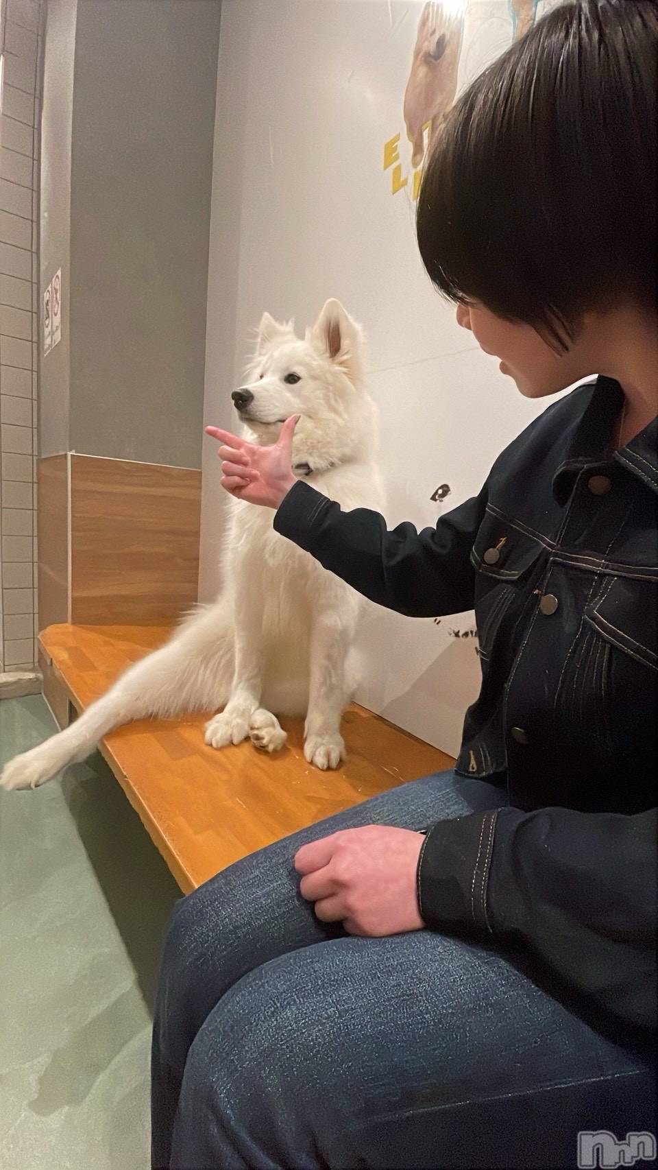 ����������ʥå��������륺�С����ʥå�Bar Peace(���ʥå��С� �ԡ���) ��2026ǯ4��3���̥�֥����֥��⥨�ɡ���