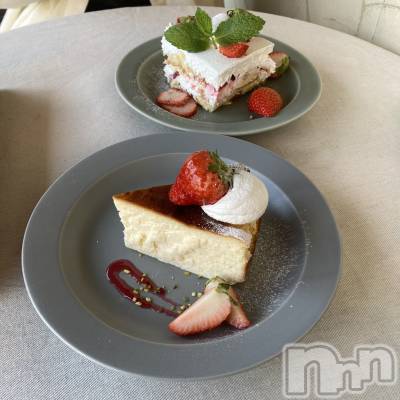 ʥå륺СʥåBar Peace(ʥåС ԡ) 830̥֥🍰