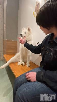 ����������ʥå��������륺�С����ʥå�Bar Peace(���ʥå��С� �ԡ���) ������4��3���̥�֥����֥��⥨�ɡ���