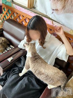 ƲХ顦Lounge Veranda(饦󥸥٥) ߤ(21)711ֽ̥֥жФǤ