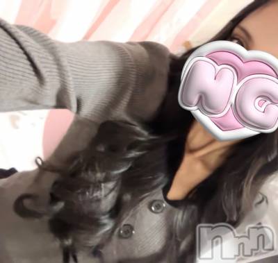 (ҥߥ) Ĺ156cmܱХ顦  ץ ( ץ ޥĥ)ҡ