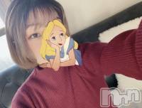 ȯѥ˥󥯥֥ѥ˥󥯥 饤 ǵ(Ĥ)(23)1122̥֥☀️✨