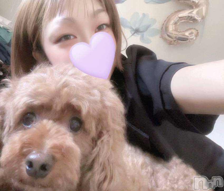 ȯѥ˥󥯥֥ѥ˥󥯥 饤 2025ǯ94̥֥🐶🐾