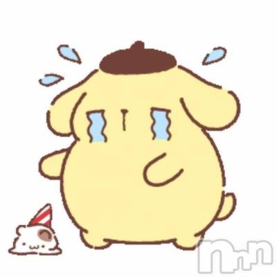 新潟ソープ スチュワーデス りりあ(20)の11月7日写メブログ「お詫び😢」