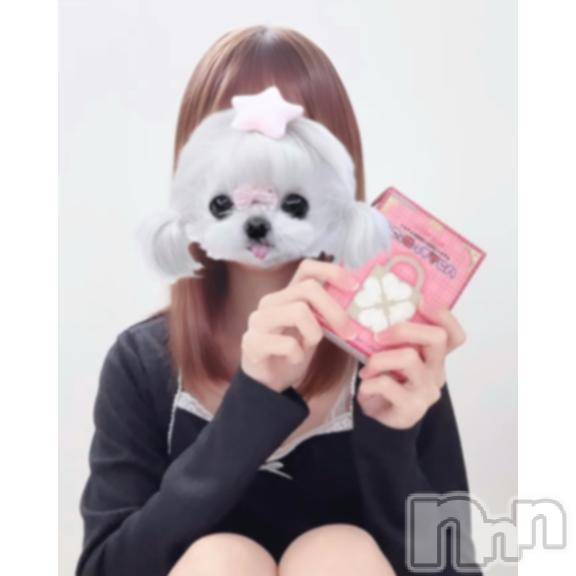 長岡デリヘルBLUE BIRD長岡店(ブルーバードナガオカテン)まひる(24)の2025年7月21日写メブログ「🏷️はじめまして! 」
