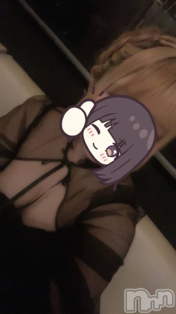ܱХ顦֥ ץ ( ץ ޥĥ) ꤢ731̥֥731 2028ʬΥ֥