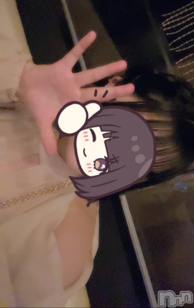 ܱХ顦֥ ץ ( ץ ޥĥ) ꤢ84̥֥84 1951ʬΥ֥