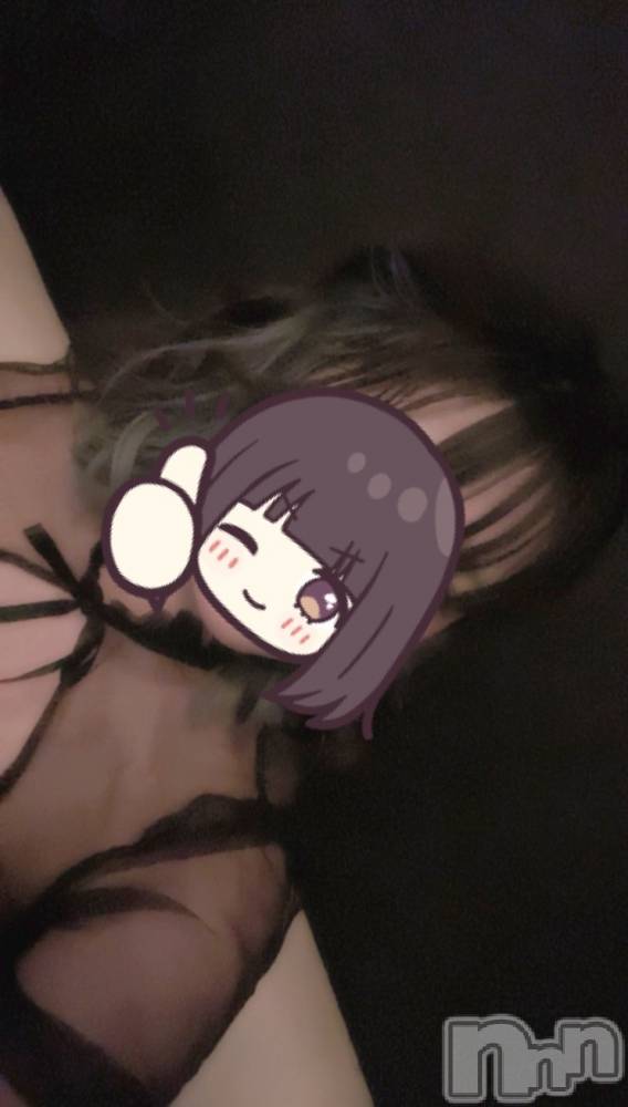 ܱХ顦֥ ץ ( ץ ޥĥ) ꤢ825̥֥825 2202ʬΥ֥