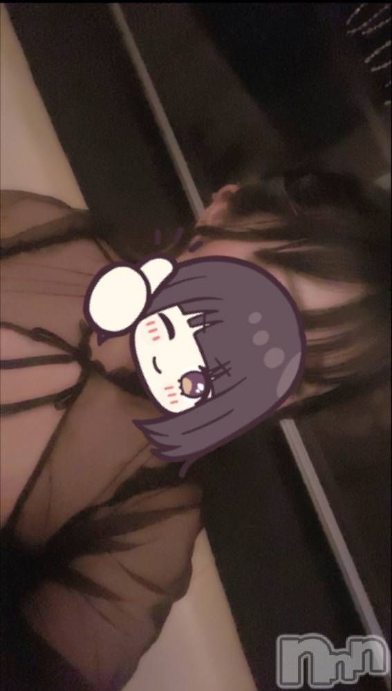 ܱХ顦֥ ץ ( ץ ޥĥ) ꤢ826̥֥826 2015ʬΥ֥