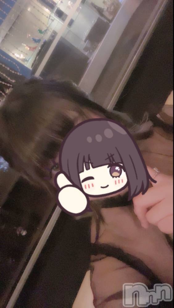 ܱХ顦֥ ץ ( ץ ޥĥ) ꤢ94̥֥94 2031ʬΥ֥