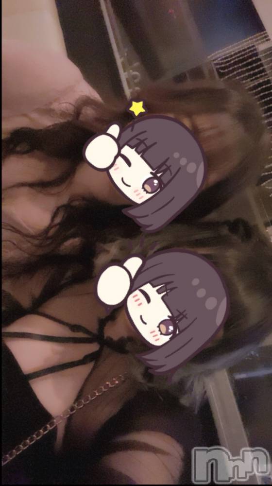 ܱХ顦֥ ץ ( ץ ޥĥ) ꤢ95̥֥95 2052ʬΥ֥