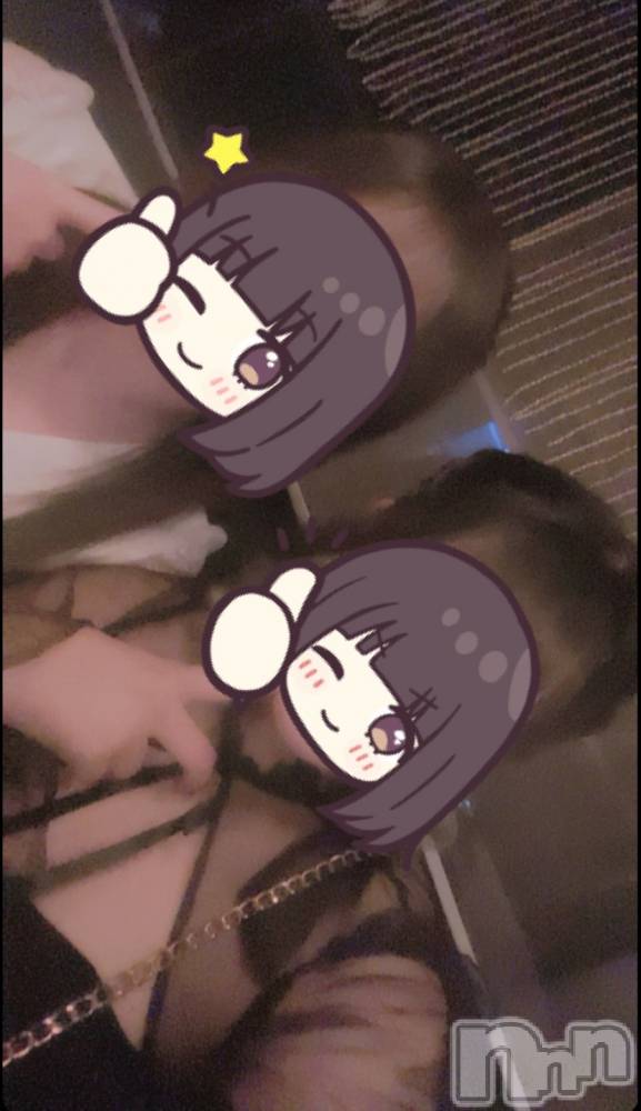 ܱХ顦֥ ץ ( ץ ޥĥ) ꤢ96̥֥96 2026ʬΥ֥