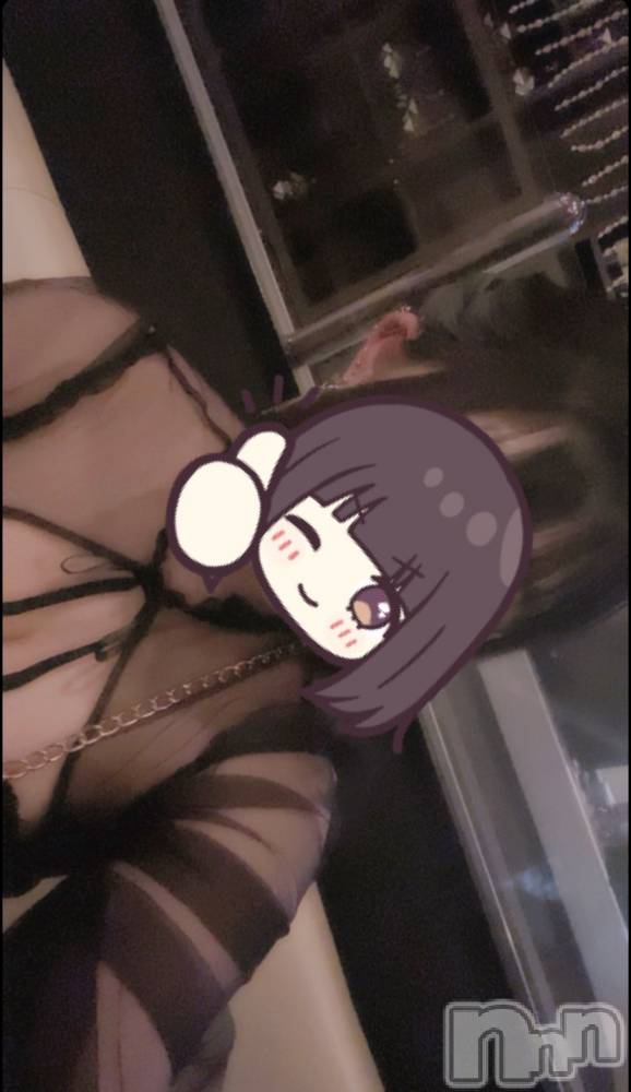 ܱХ顦֥ ץ ( ץ ޥĥ) ꤢ910̥֥910 2053ʬΥ֥