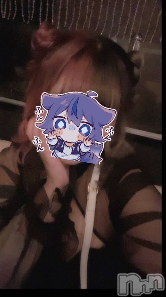 ܱХ顦֥ ץ ( ץ ޥĥ) ꤢ929̥֥ϡ🎂