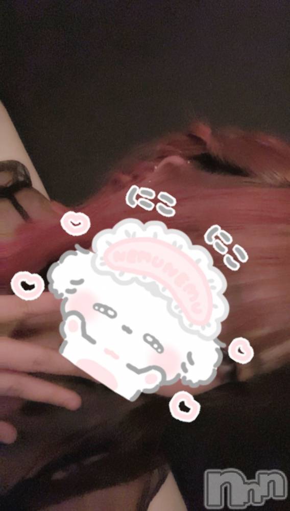 ܱХ顦֥ ץ ( ץ ޥĥ) ꤢ1020̥֥1020 2025ʬΥ֥