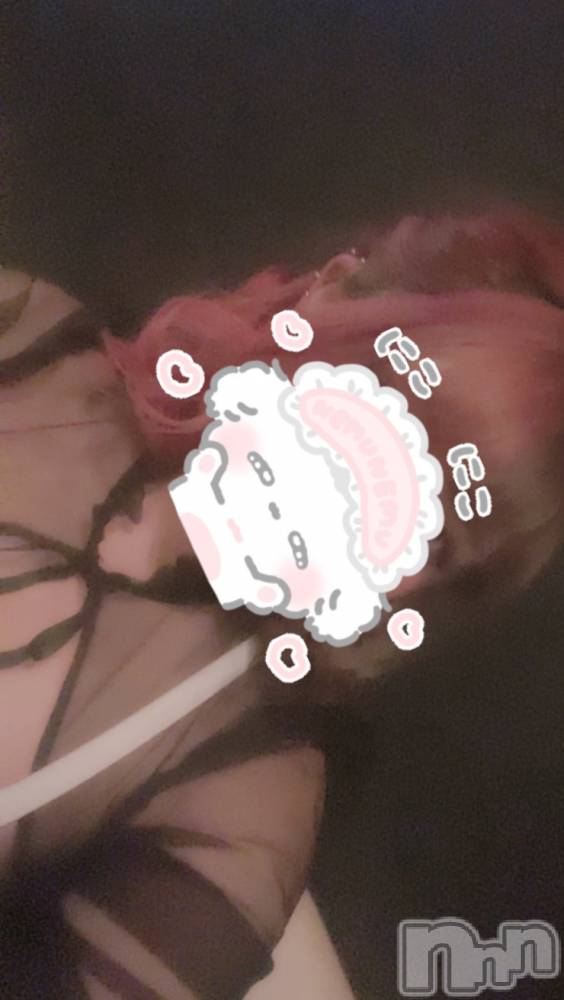 ܱХ顦֥ ץ ( ץ ޥĥ) ꤢ1021̥֥1021 2051ʬΥ֥