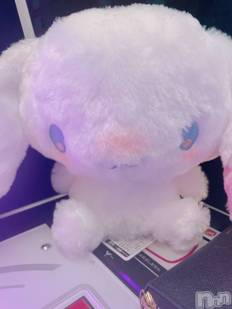 ܱХ顦֥ ץ ( ץ ޥĥ) ꤢ1029̥֥૮ •͈ ·̫ •͈ ა