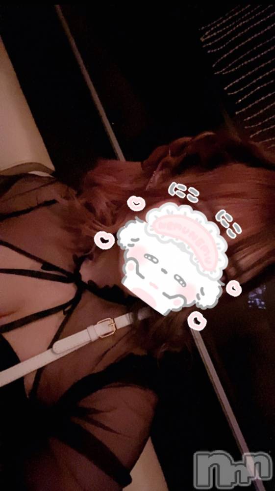 ܱХ顦֥ ץ ( ץ ޥĥ) ꤢ111̥֥111 2054ʬΥ֥