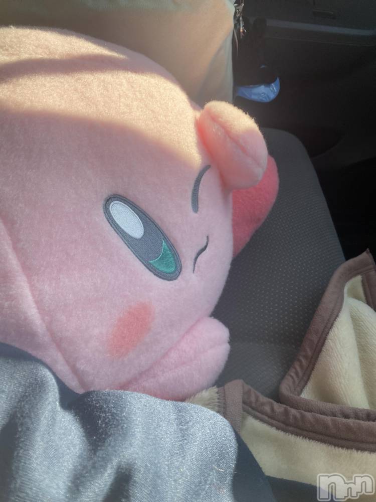 ܱХ顦֥ ץ ( ץ ޥĥ) ꤢ115̥֥𓂂- · -𓂂