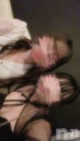 ܱХ顦֥ ץ ( ץ ޥĥ) ꤢ99̥֥99 2037ʬΥ֥