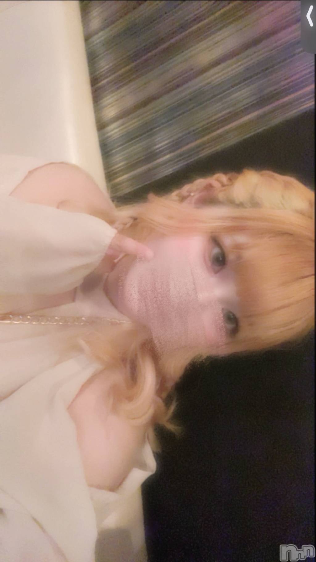 ܱХ顦֥ ץ ( ץ ޥĥ) 2025ǯ714̥֥NEW顼