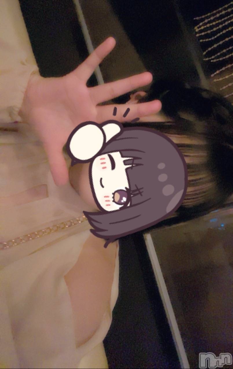 ܱХ顦֥ ץ ( ץ ޥĥ) 2025ǯ84̥֥84 1951ʬΥ֥