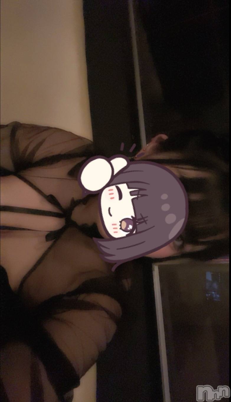 ܱХ顦֥ ץ ( ץ ޥĥ) 2025ǯ814̥֥814 2019ʬΥ֥