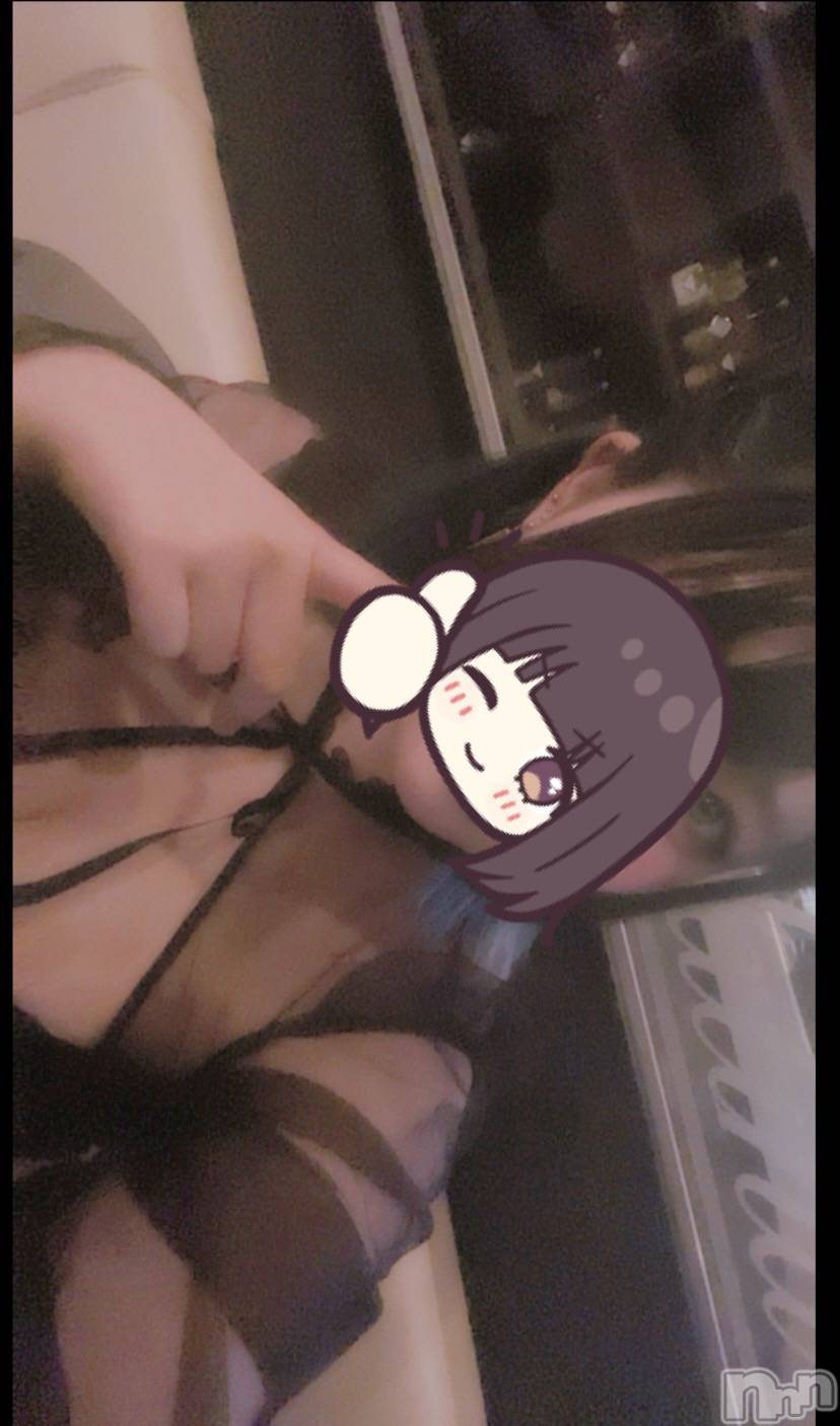 ܱХ顦֥ ץ ( ץ ޥĥ) 2025ǯ815̥֥815 2044ʬΥ֥