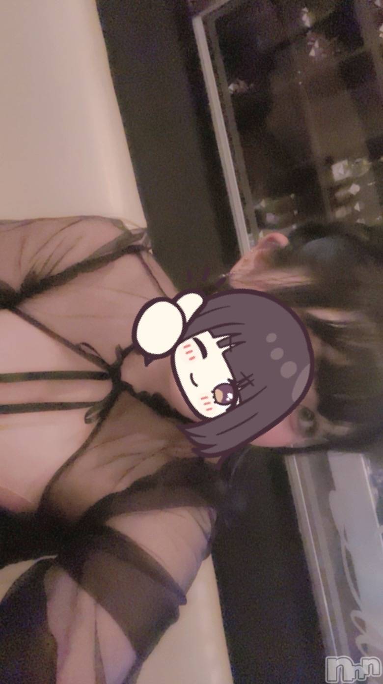 ܱХ顦֥ ץ ( ץ ޥĥ) 2025ǯ816̥֥816 2049ʬΥ֥