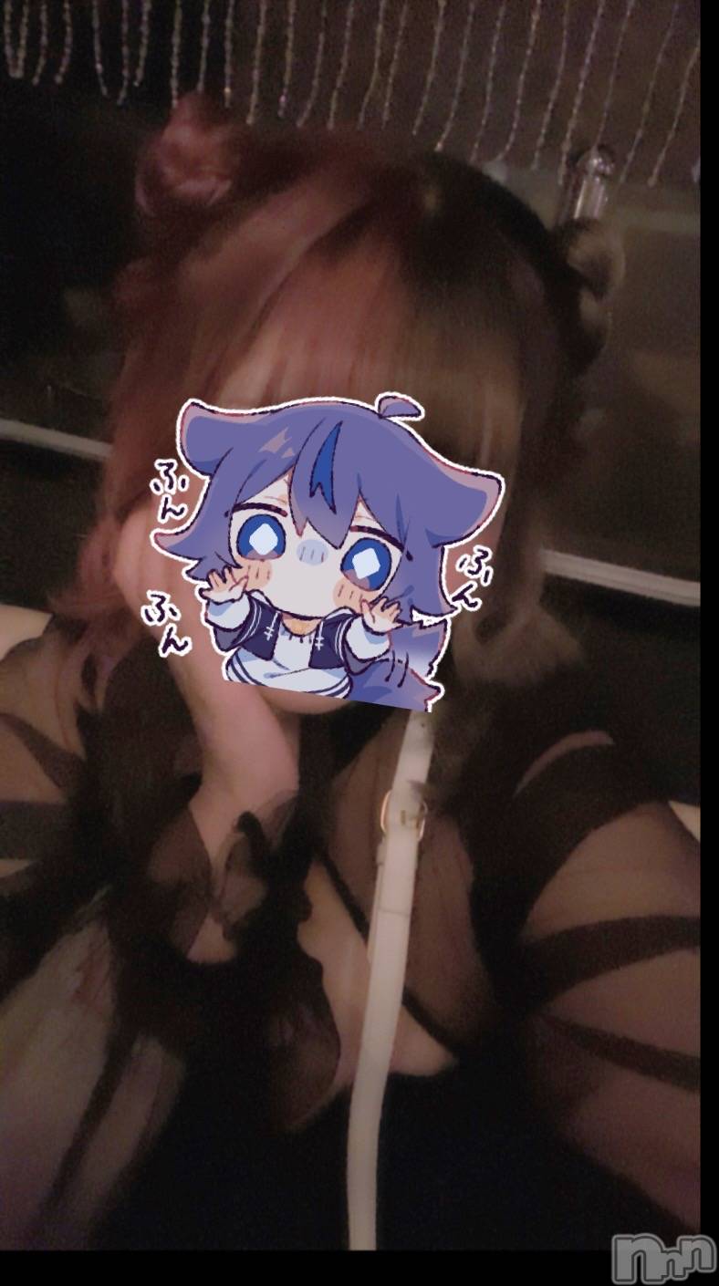 ܱХ顦֥ ץ ( ץ ޥĥ) 2025ǯ929̥֥ϡ🎂
