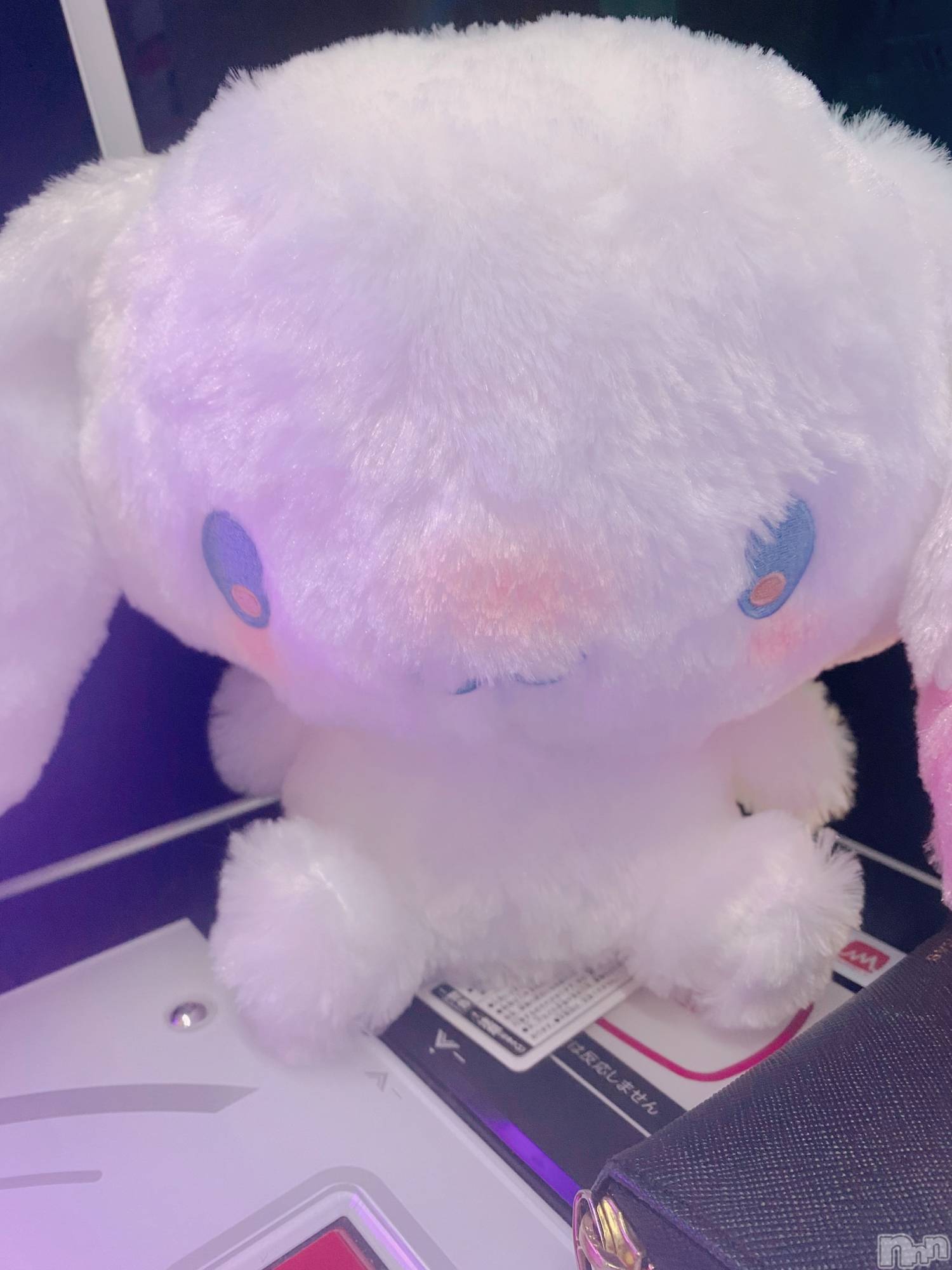 ܱХ顦֥ ץ ( ץ ޥĥ) 2025ǯ1029̥֥૮ •͈ ·̫ •͈ ა