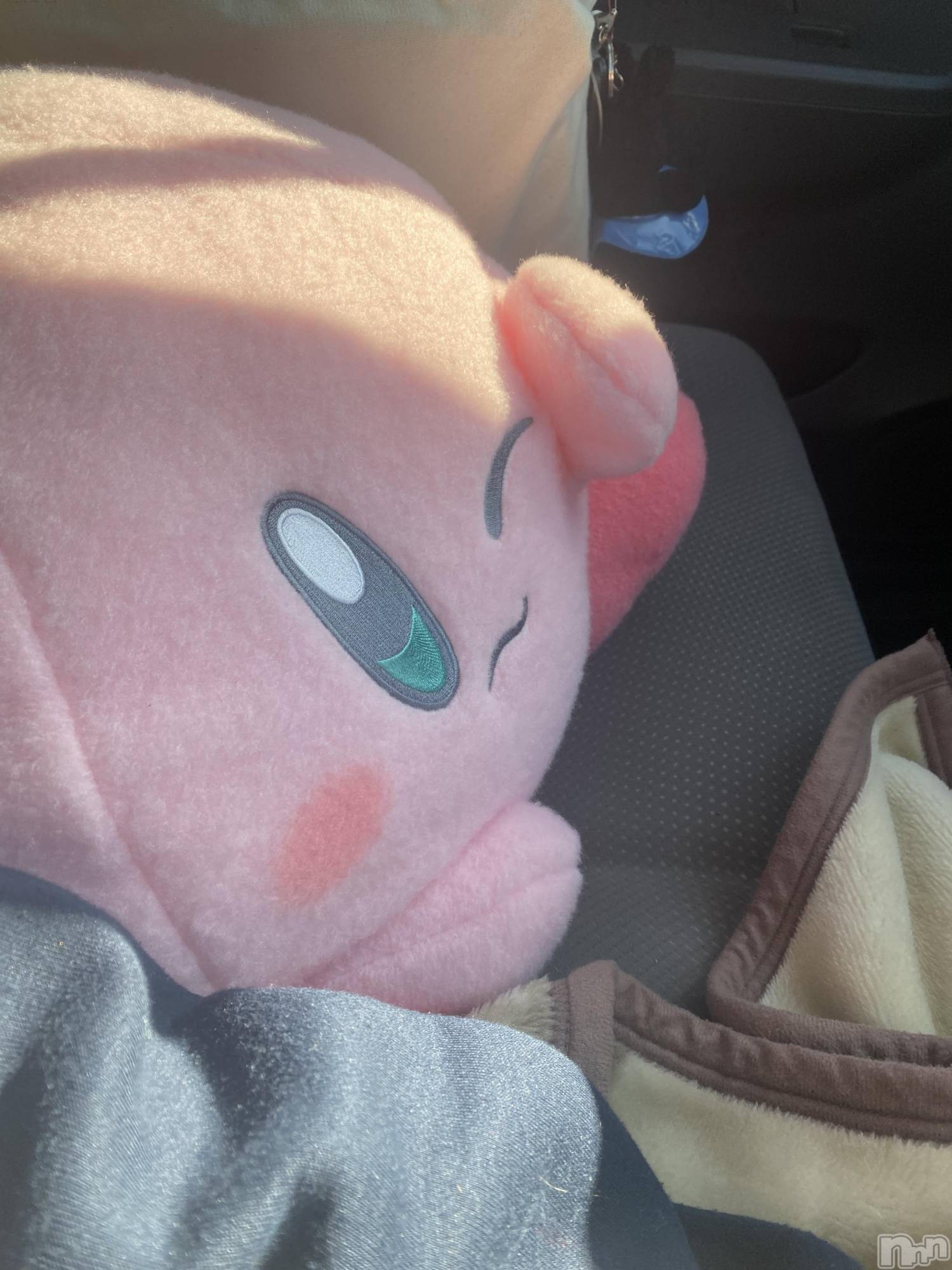 ܱХ顦֥ ץ ( ץ ޥĥ) 2025ǯ115̥֥𓂂- · -𓂂