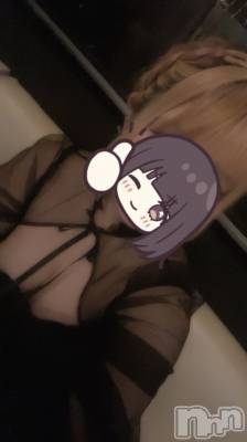 ܱХ顦֥ ץ ( ץ ޥĥ) ꤢ731̥֥731 2028ʬΥ֥