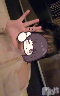 ܱХ顦֥ ץ ( ץ ޥĥ) ꤢ84̥֥84 1951ʬΥ֥