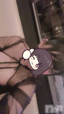 ܱХ顦֥ ץ ( ץ ޥĥ) ꤢ816̥֥816 2049ʬΥ֥