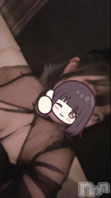 ܱХ顦֥ ץ ( ץ ޥĥ) ꤢ821̥֥821 2023ʬΥ֥