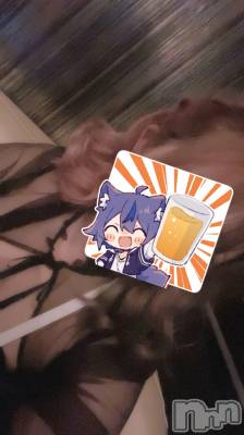 ܱХ顦֥ ץ ( ץ ޥĥ) ꤢ(20)1011̥֥1011 2020ʬΥ֥