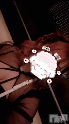 ܱХ顦֥ ץ ( ץ ޥĥ) ꤢ(20)111̥֥111 2054ʬΥ֥