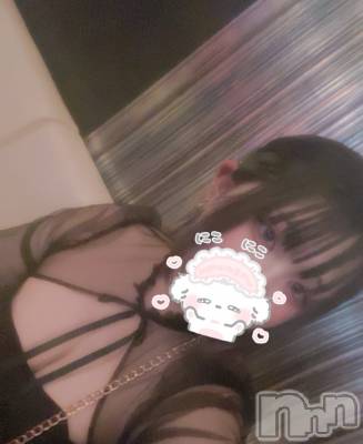 ꤢ(20) Ĺ158cmܱХ顦  ץ ( ץ ޥĥ)ҡ