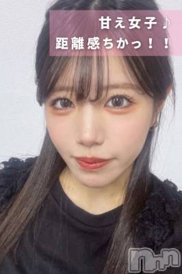 褦̾¿(22) Ĺ155cmȯѥ˥󥯥 㥳 -㥳ѥ˥󥯥-(˥ -˥ѥ˥󥯥-)ҡ