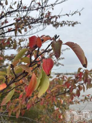 新潟おっパブ SUPER ANGEL(スーパーエンジェル) 白鳥みれい(20)の10月19日写メブログ「しゅ！みれいさん駅前」