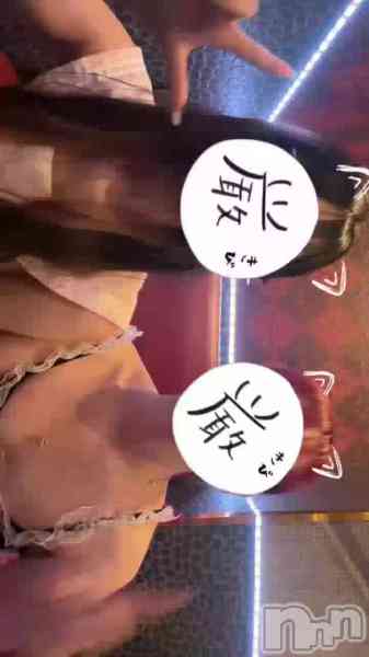 白鳥みれいの動画 今週