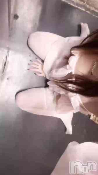 白鳥みれいの動画 (ˆ꜆ .  ̫ . ).  ̫ . ꜀ˆ)