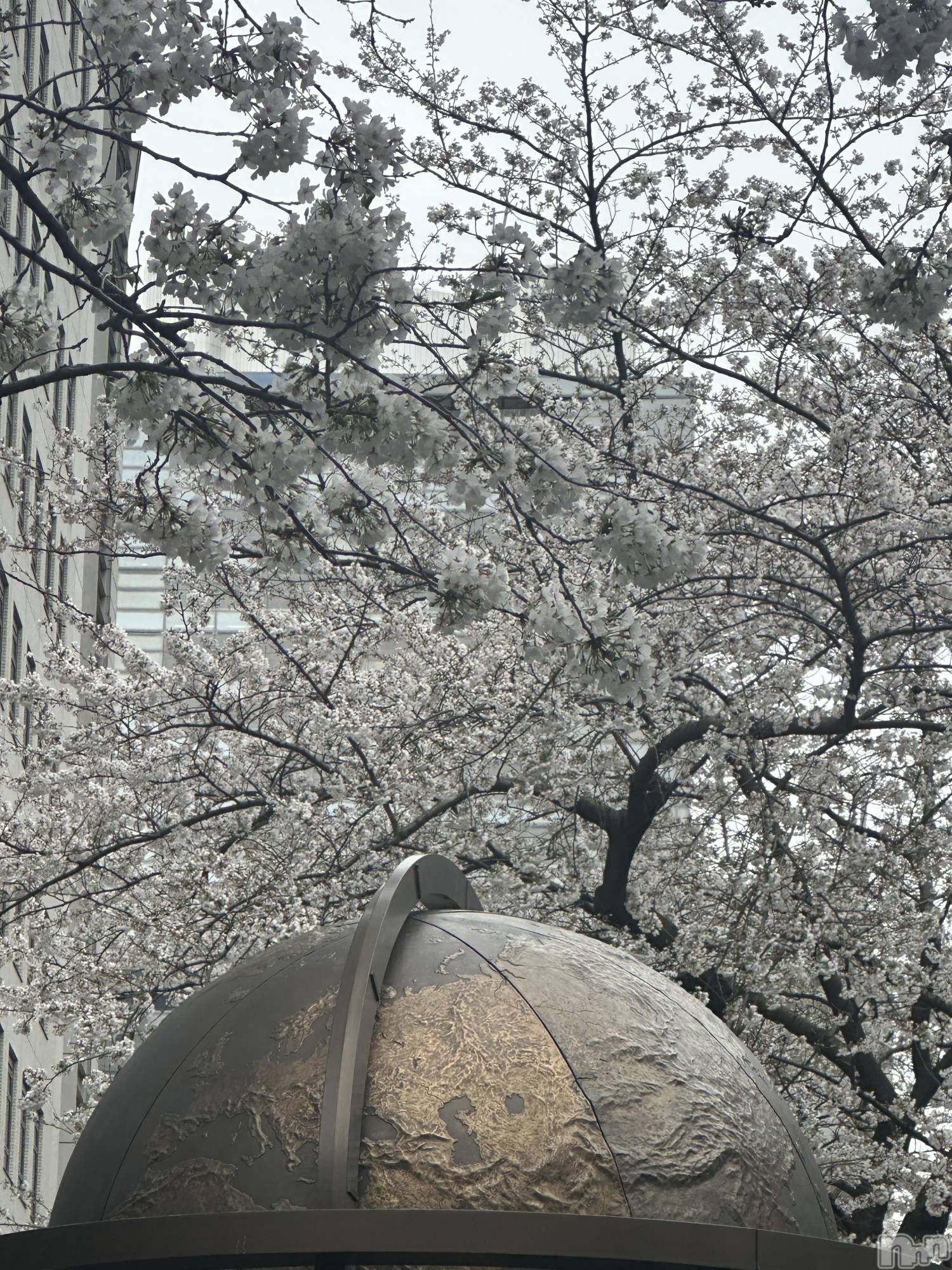 ��Į����Х��顦�����CLUB GRAND(����֥����) ��2026ǯ2��28���̥�֥����֥饹�ȡ���������