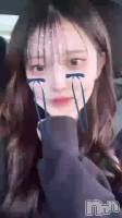 ʤˤ
